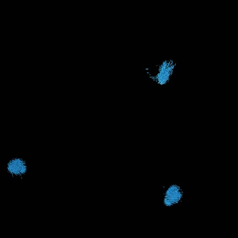 4K全息粒子鱼群广告级素材带通道