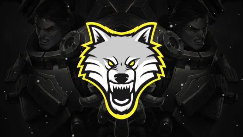 极品狼头音频尘埃粒子VJ视频