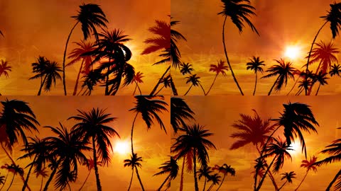 极品黄昏椰子树
