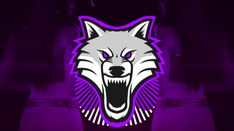 极品狼头音频尘埃粒子VJ视