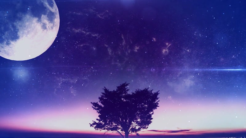 抒情唯美舞台LED屏背景视频素材