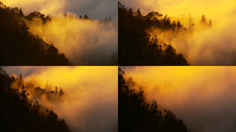 云雾缭绕的山间实拍