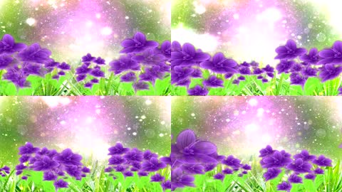梦幻紫色花朵花海