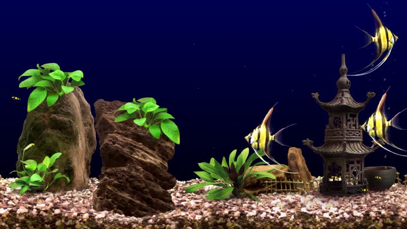 4k梦幻3d水族花园生态水族馆  4k梦幻3d水族花园生态水族馆