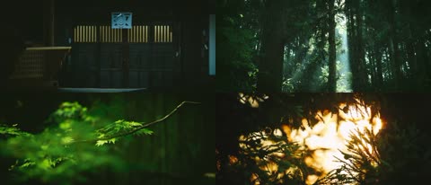 4K日本高野山真言宗佛教