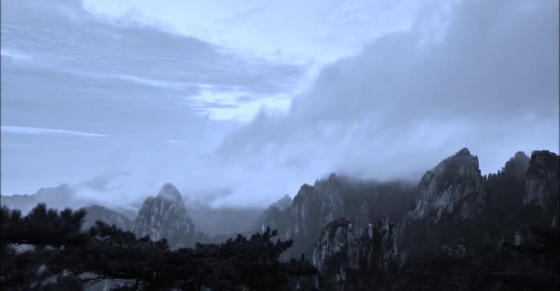 黑白世界压抑大自然气息 黑白世界压抑大自然气息