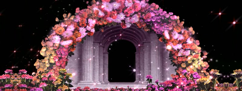 3D全息裸眼投影花门粒子 欧式婚礼婚庆背景