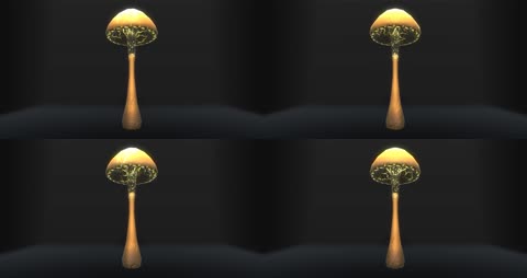 三维蘑菇4K 