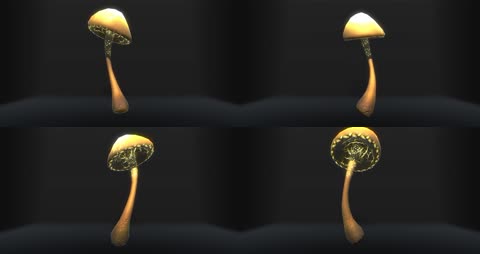 三维蘑菇4K 