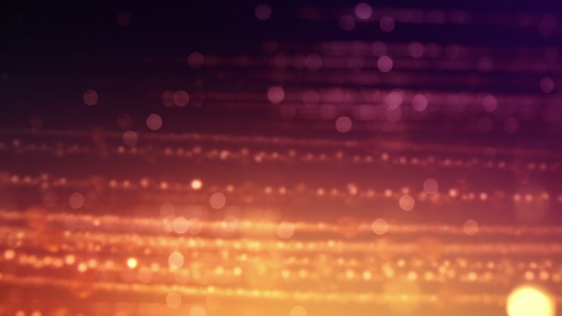 梦幻花卉粒子光斑动态高清