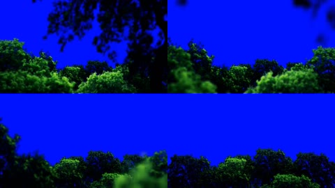 蓝屏森林