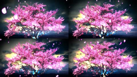 唯美夜色中的流光樱花树