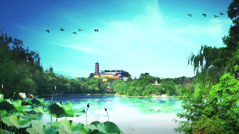 中国风晚会荷塘园林背景