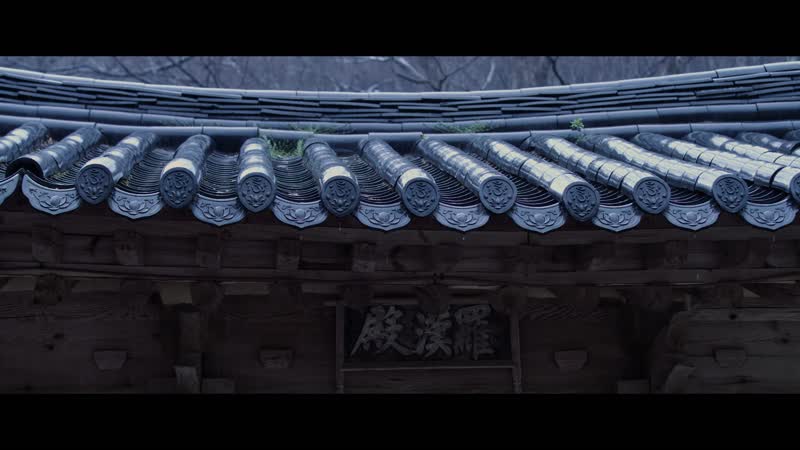 梅花雨景古建筑