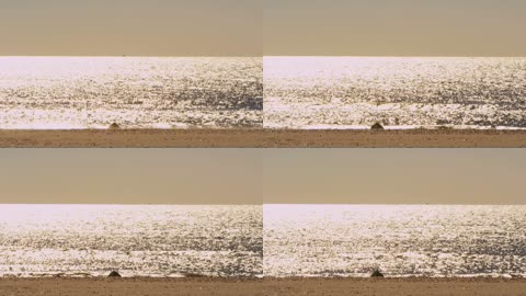 铺满光线的大海