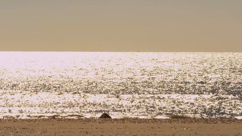 铺满光线的大海