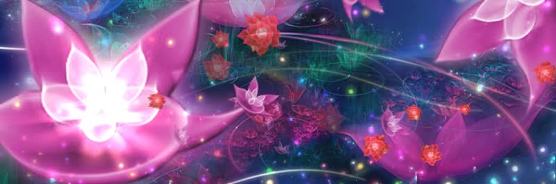 荷花莲花飞舞爱情星球