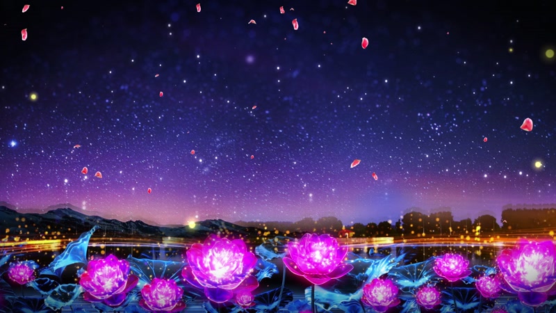 星空之恋荷花花瓣飞舞背景