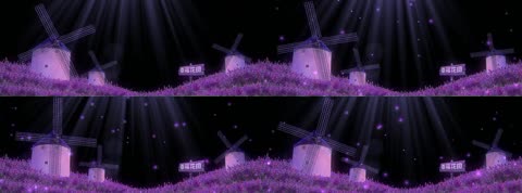 紫色幸福花田薰衣草风车