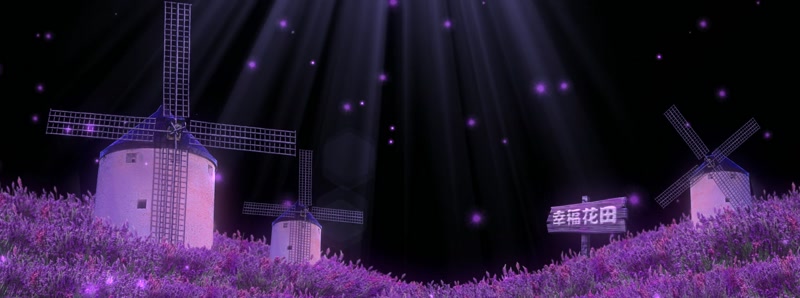 紫色幸福花田薰衣草风车