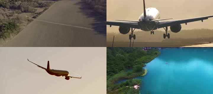 4K梦想鸟儿一样自由飞翔