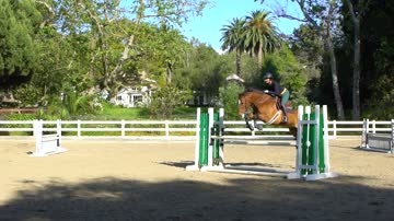 高端欧式别墅园林景观室内设计