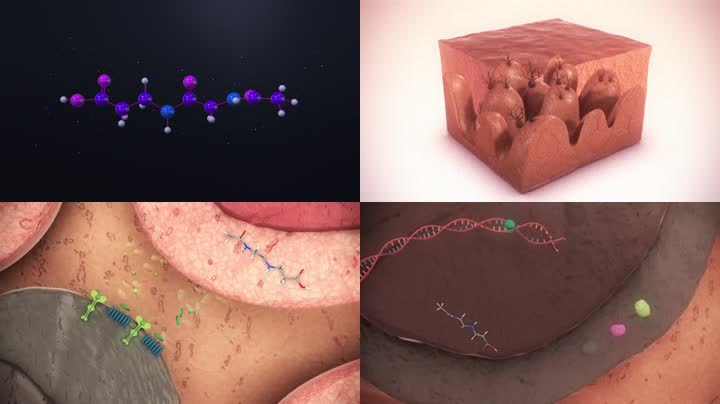 化妆品基因细胞美白三维原理动画