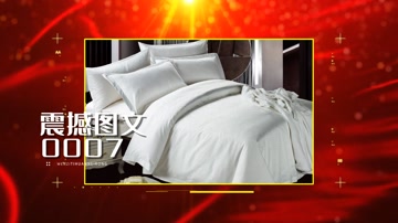 红色党政图文照片展示 