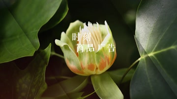 动感简单光效图片切换幻灯