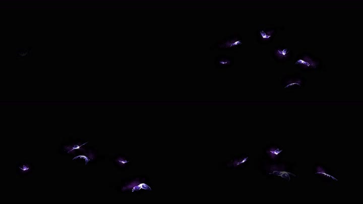 4K粒子蝴蝶飞舞循环通道