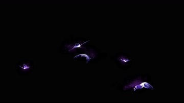 4K粒子蝴蝶飞舞循环通道