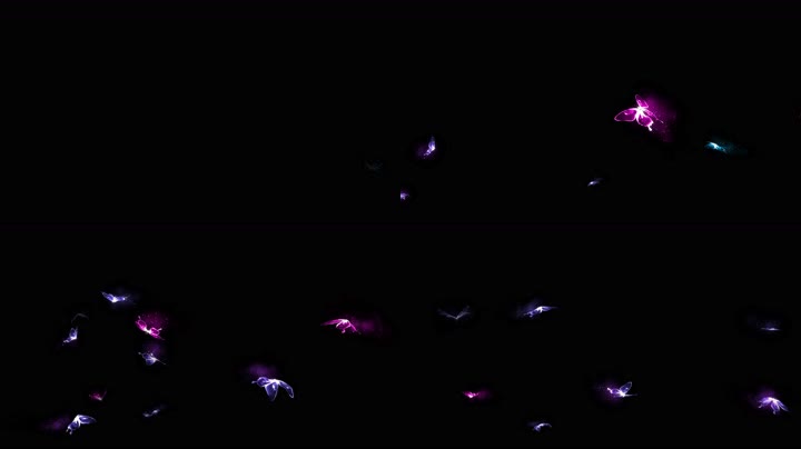 4K五彩蝴蝶飞舞