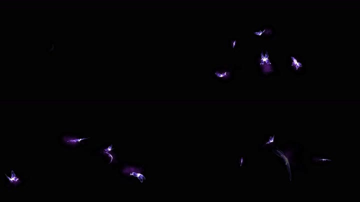 4K多蝴蝶飞舞循环通道