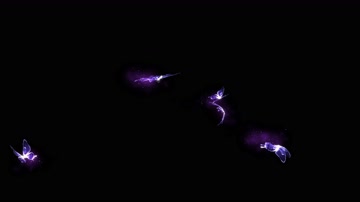 4K多蝴蝶飞舞循环通道