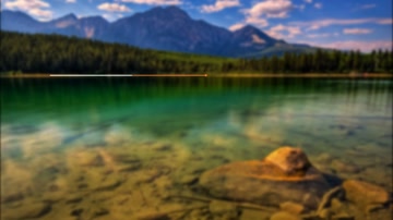 简约扁平文字标题动画字幕条 