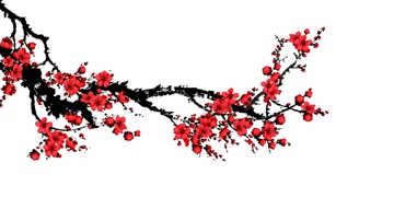 水墨梅花元素（通道循环）