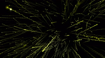 金色粒子光线凌乱飞舞