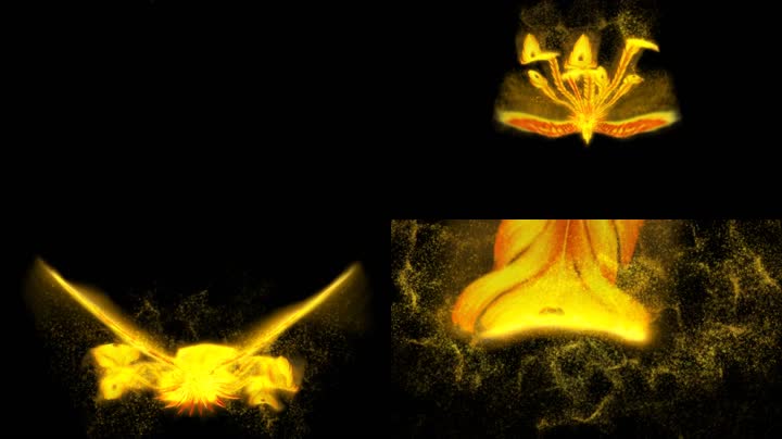 金火焰凤凰冲屏