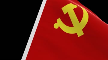 党旗_单旗挥动_转场