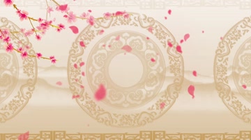 中国风唯美花瓣飘落舞美背景