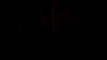 大气金色粒子光效文字标题宣传片开场 