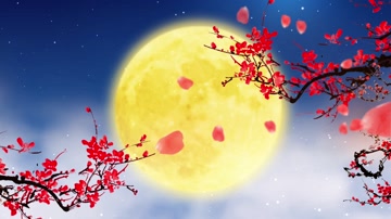 唯美中秋月亮背景循环