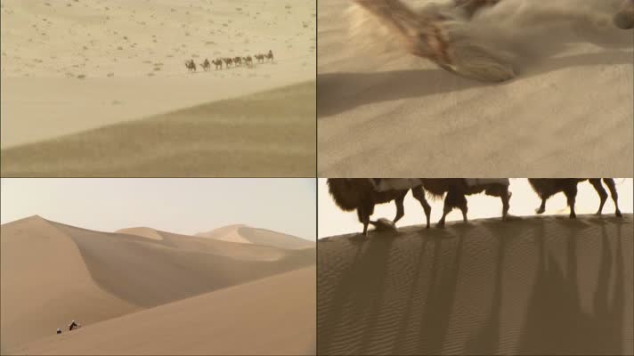 黄沙沙漠骆驼商队行走