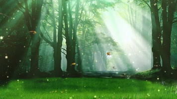 春天森立蝴蝶生机勃勃