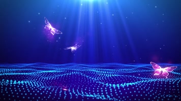 蝴蝶飞舞唯美舞台背景循环