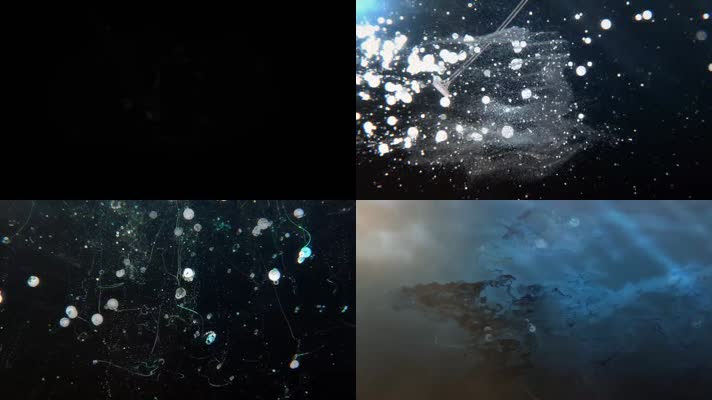 动感酷炫粒子线条鸟飞DJ视频