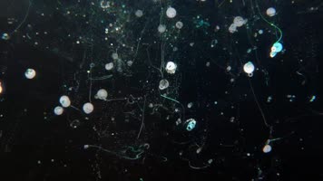 动感酷炫粒子线条鸟飞DJ视频