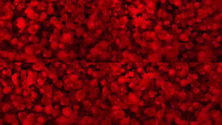 红色玫瑰花瓣缓缓落下浪漫婚礼视频