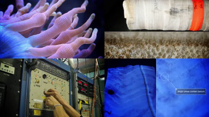 4K海底珊瑚射线激光生物研究