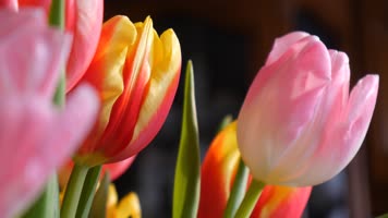 4K插花艺术花店美景